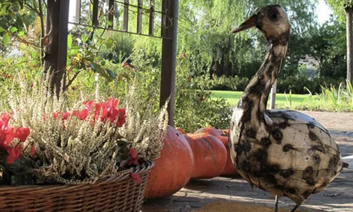 Osteria Il Gioco dell'Oca_Bagnolo in Piano_slider_image_3