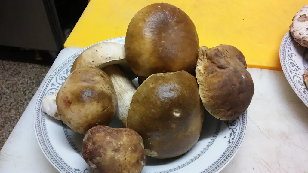 Menu_Osteria Ponte Lecca_Bardi_image_3