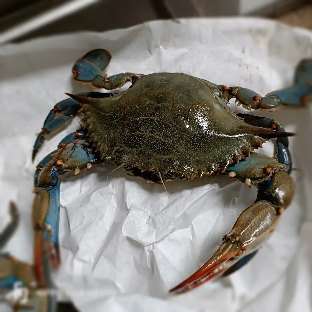 Menu_Osteria Ponte Lecca_Bardi_image_7