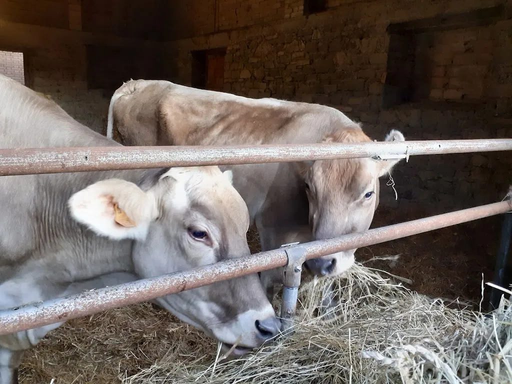 Agriturismo Podere Barzia_Bardi_slider_image_3