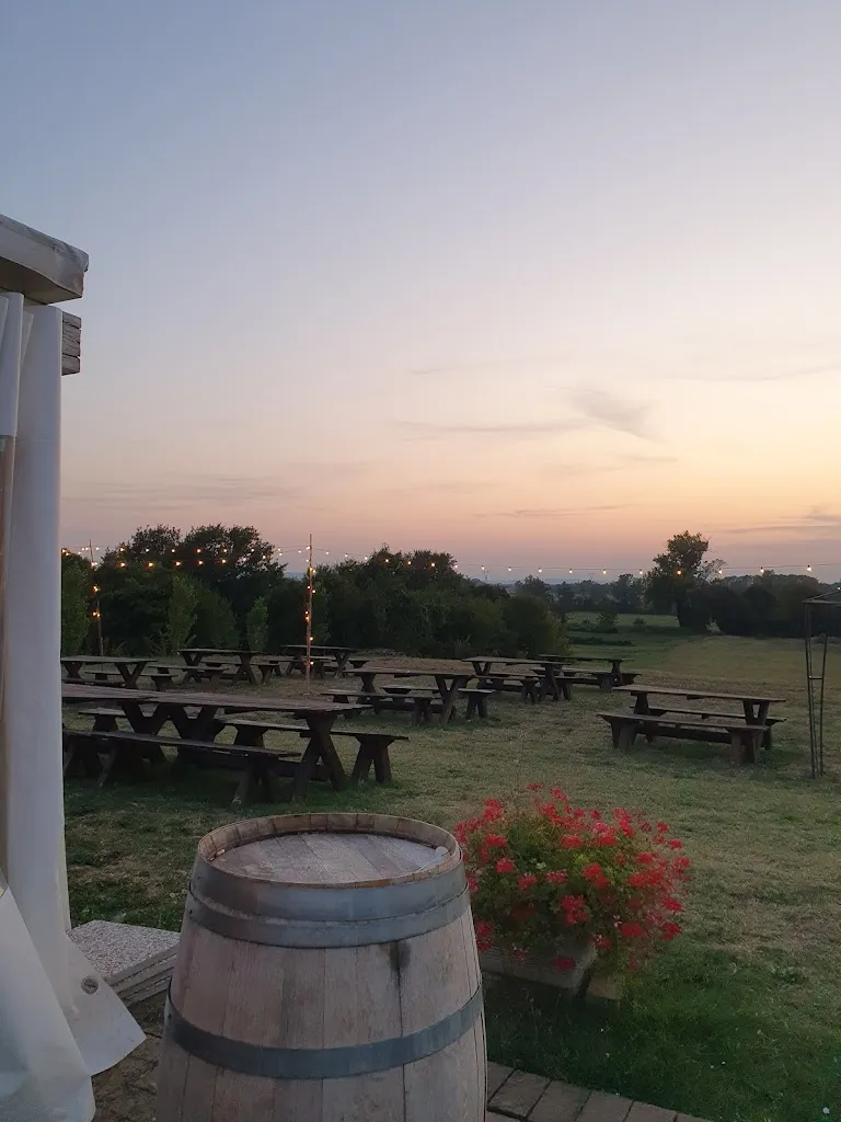 Elisabetta Carone_Casa Mariam_Basilicagoiano_review