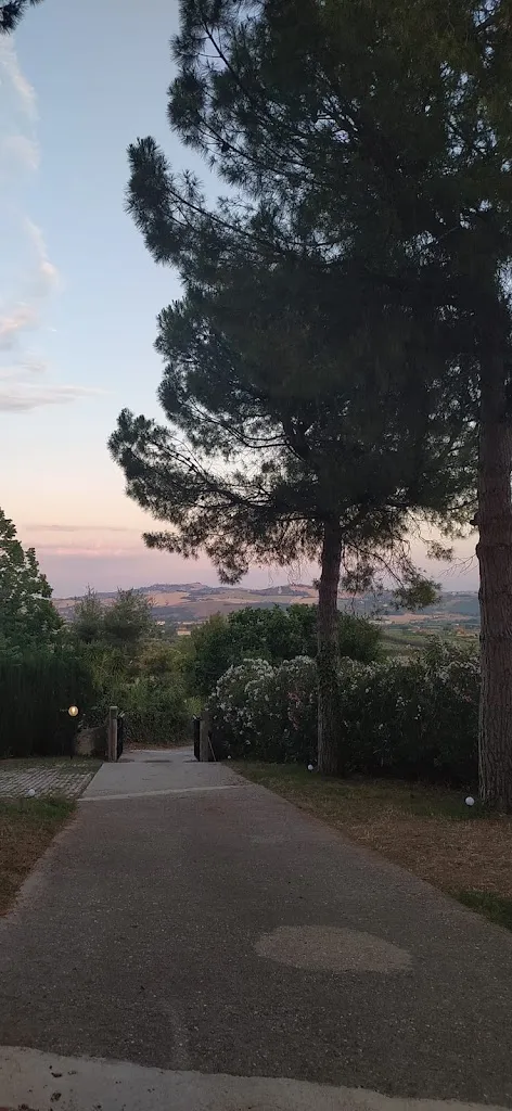 Begap - Home Restaurant_Mosciano Sant'Angelo_slider_image_3