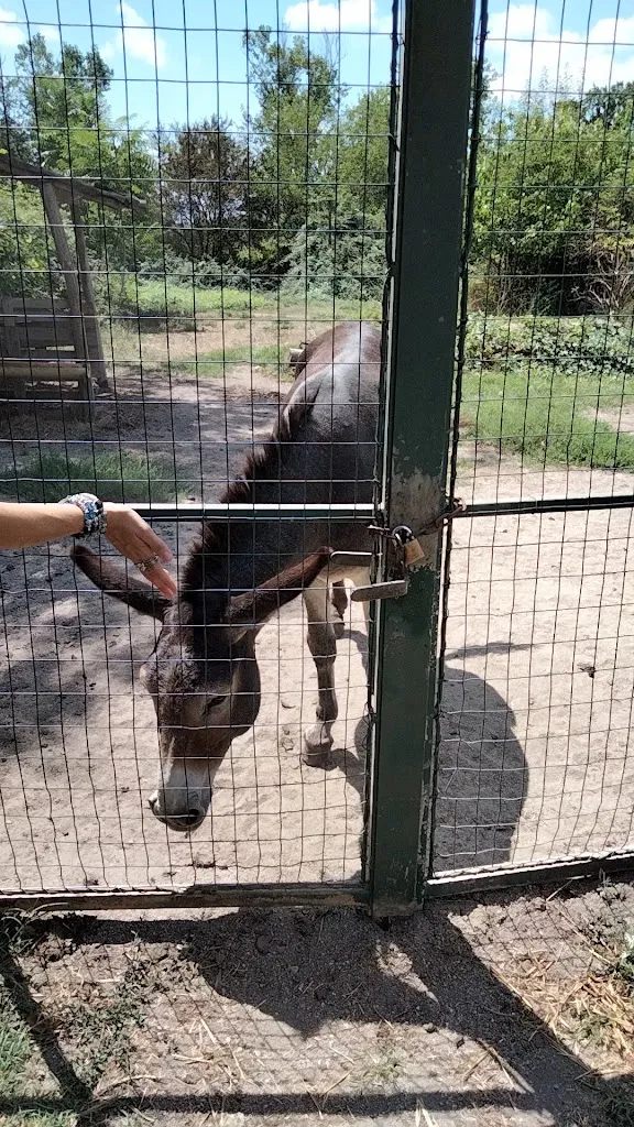 Massimiliano Giraldo_Ristorante Oasi la Rizza_Bentivoglio_review