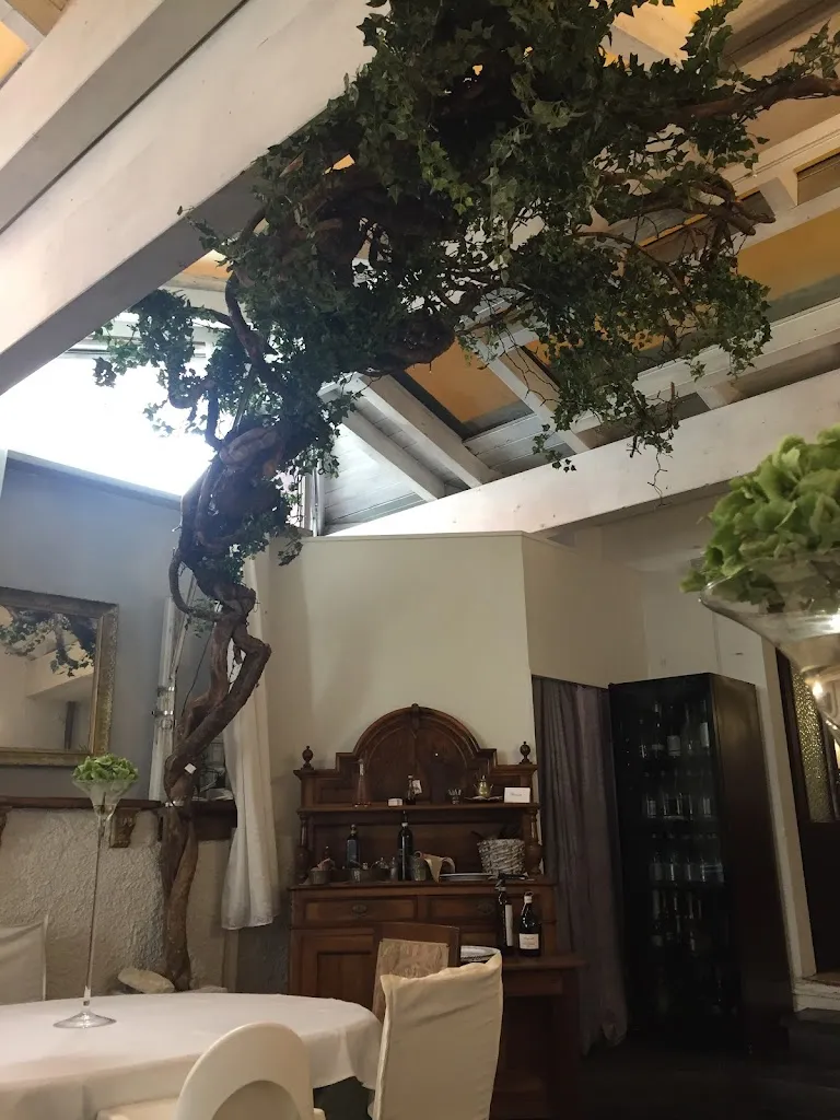 Giulio C._Ristorante la Pergola_Bedonia_review