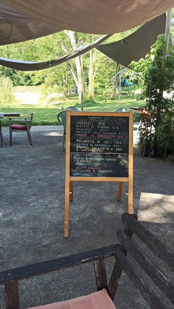 Elisabetta Zambonini_Canada Stella sul fiume_Bedonia_review