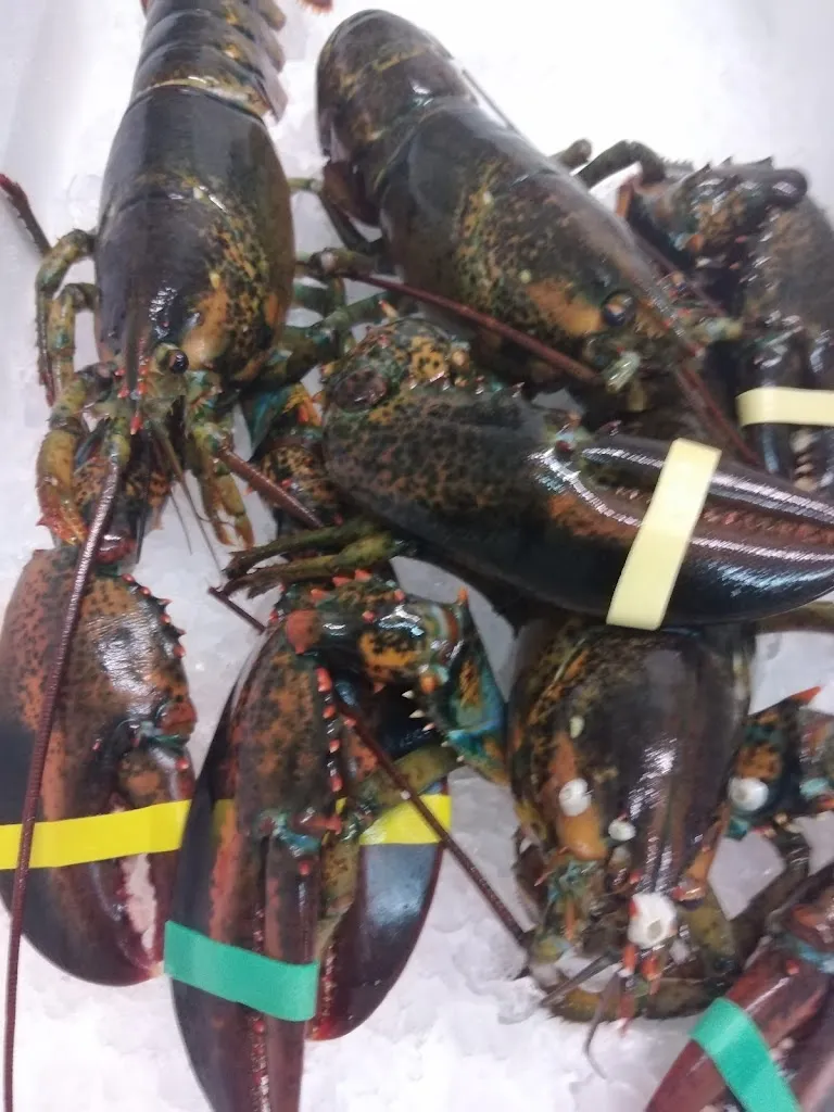 Leonardo Caffetteria & Cucina_Mosciano Sant'Angelo_slider_image_3