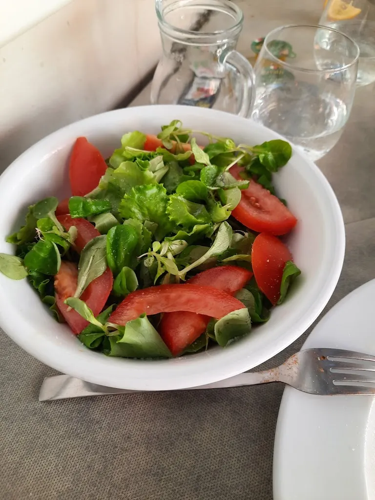 Yvonne Randall_Speedy_Bedonia_recensione