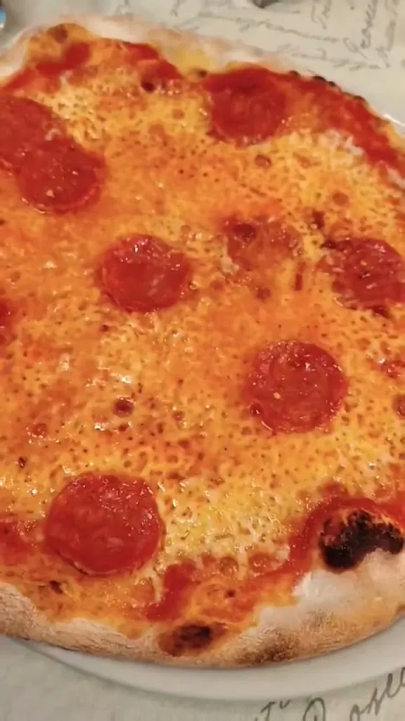 Speedy_Bedonia_slider_image_2