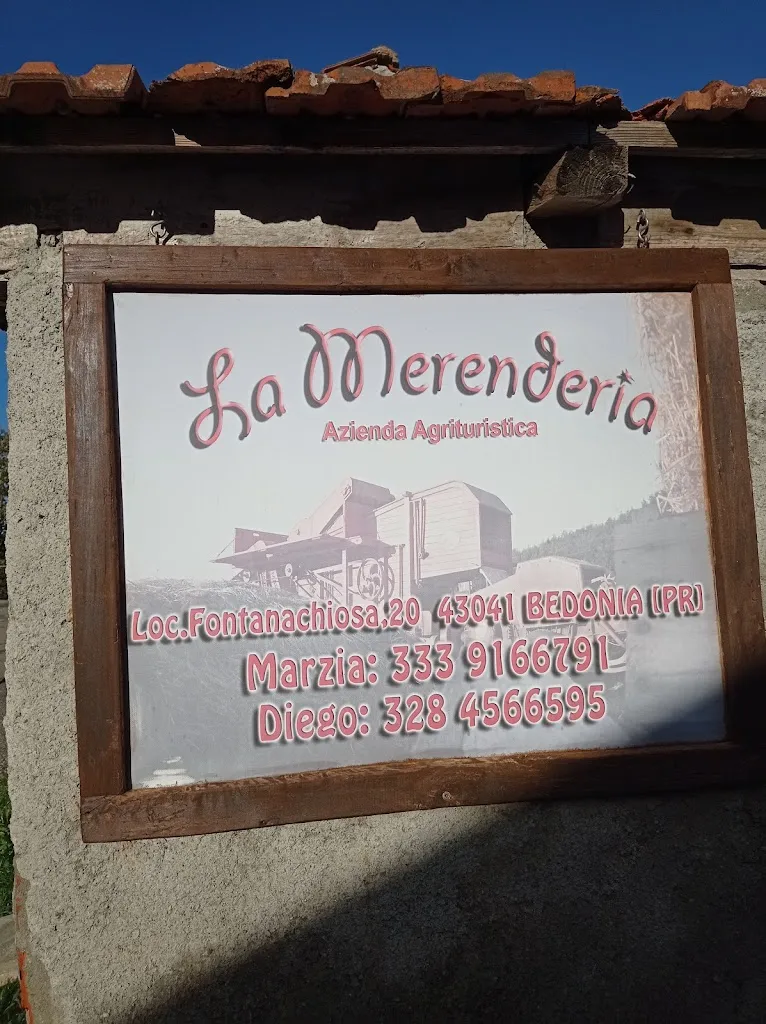 FRANCESCA FOSCHI_La Merenderia_Bedonia_review