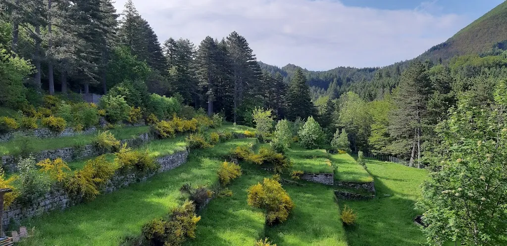 Mirko Ligori_Le Casette del Doccione di Migliorini Lorenzo e C. Snc_Berzantina_review