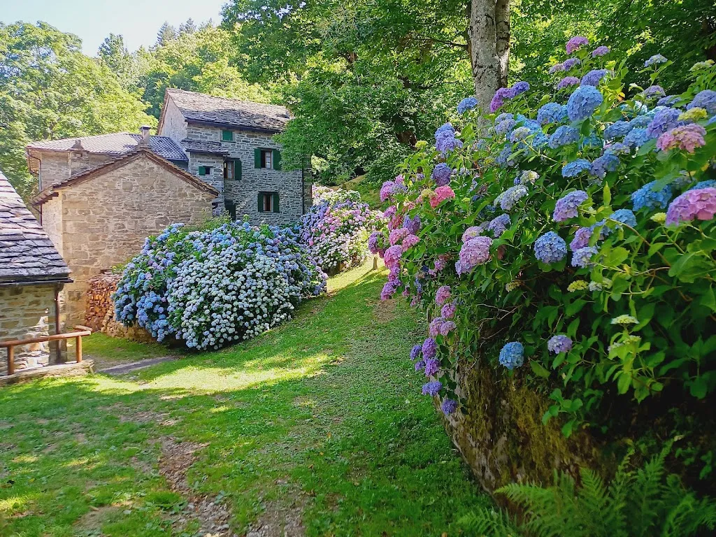 Le Casette del Doccione di Migliorini Lorenzo e C. Snc_Berzantina_slider_image_1