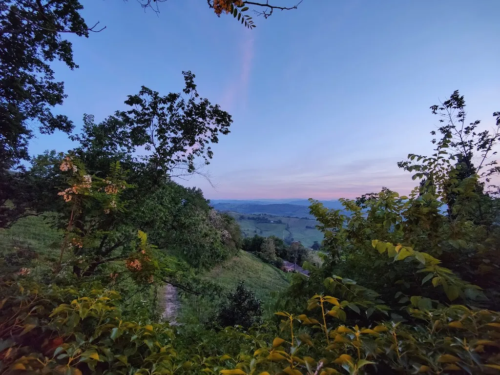 Konstantinos Chondroudis_Casina Pontormo_Bertinoro_review