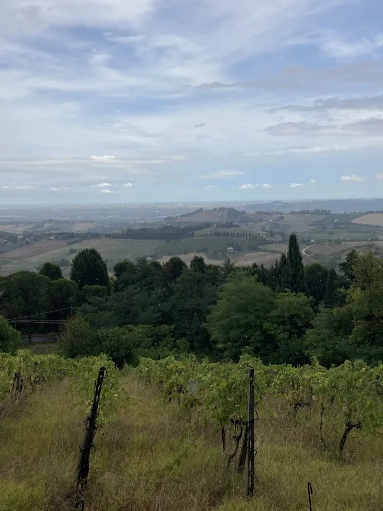 Boutique Della Piadina_Bertinoro_slider_image_3