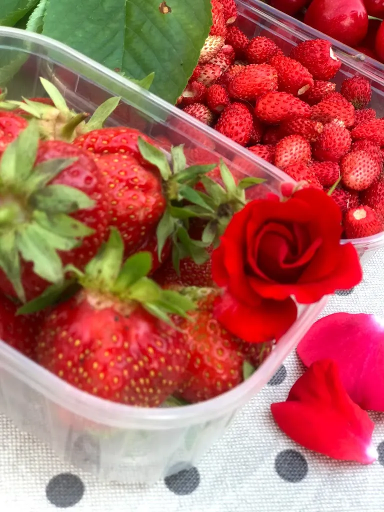 Menu_Agriturismo Casa Molinari_Bertinoro_immagine_7