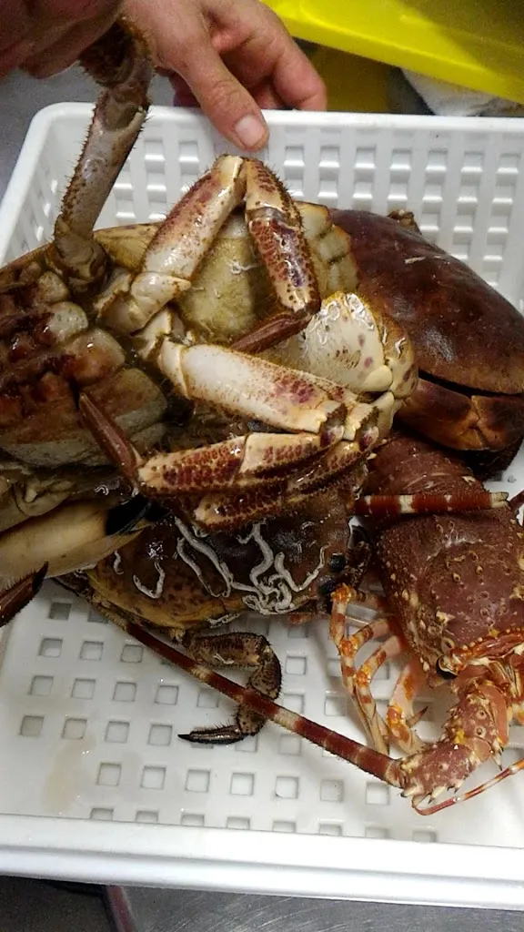 Antica Trattoria Barslon_Bellaria-Igea Marina_slider_image_2