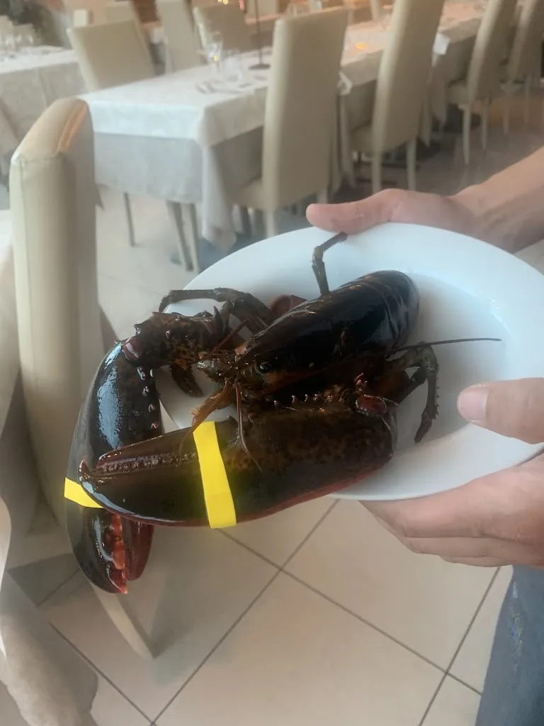 rene_Ristorante Le Vele_Bellaria-Igea Marina_review