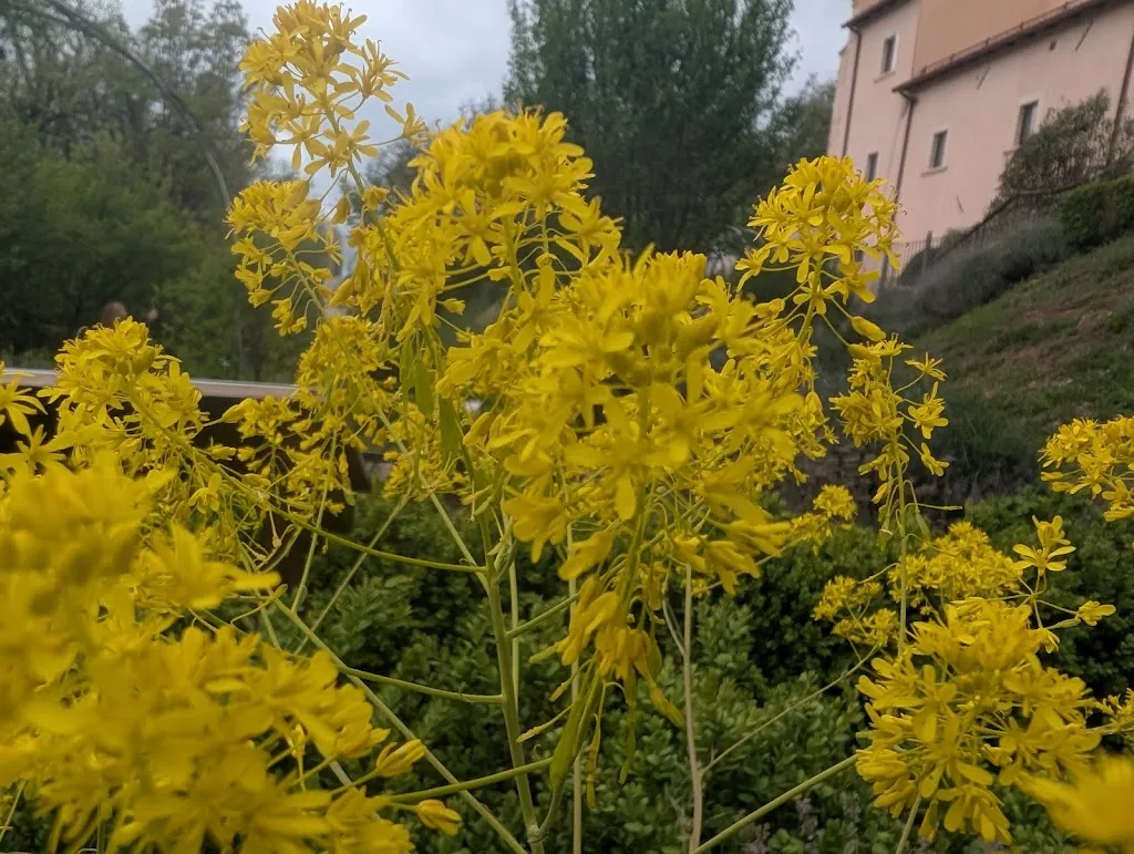 dan88er_Convento di San Colombo - Dimora Storica_Barisciano_review