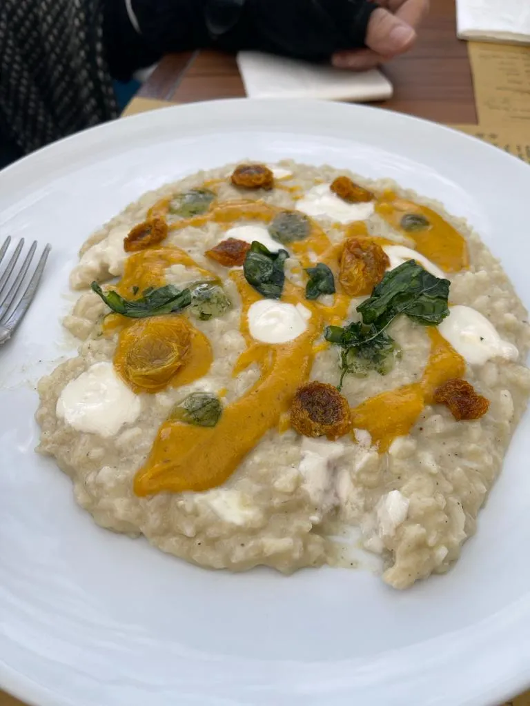 Aleksandra Czyżycka_Risotto DAI C'ANDOM Cavriago_Bibbiano_review