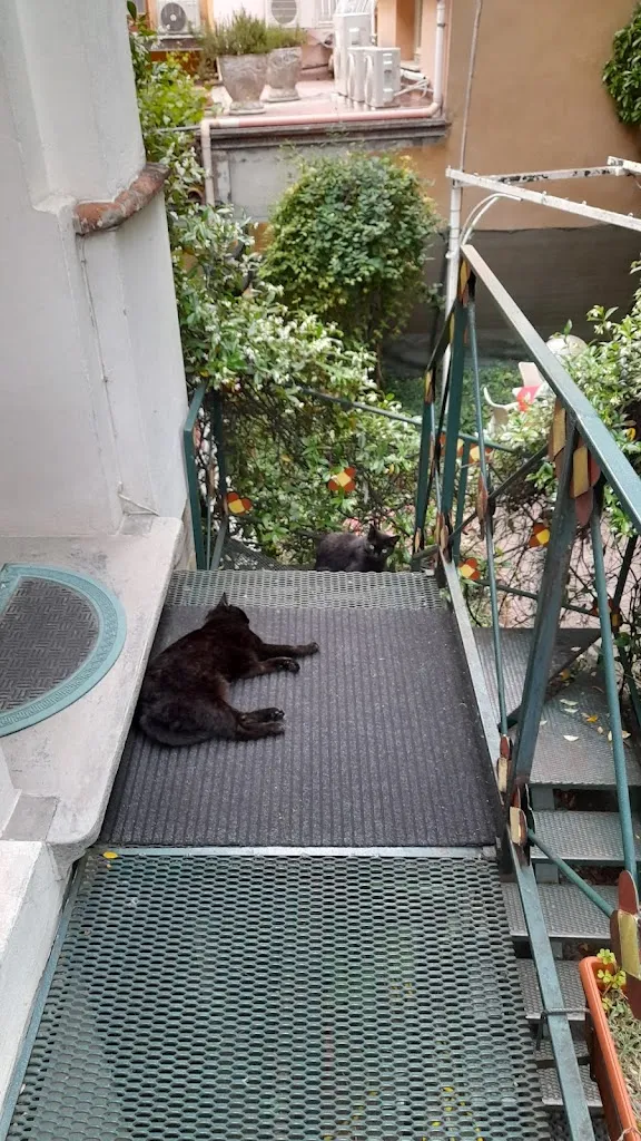 Vincent Johnandrew_B & B Bobbio Buongiorno Notte_Bobbio_review