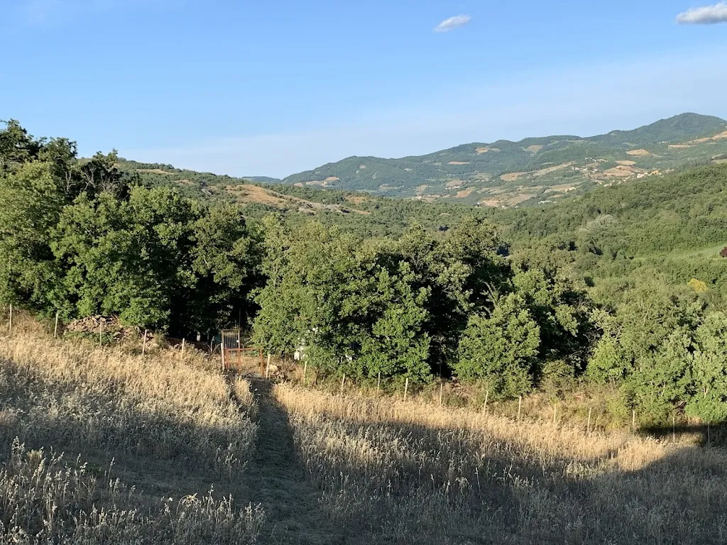 Sergio Salvato (SweeTime)_Ca del Sartù Farmstay_Bobbio_review