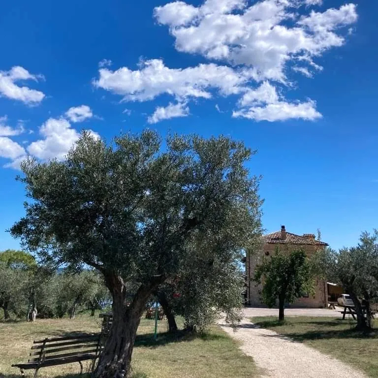 Le mignole Agriturismo_Orsogna_slider_image_2