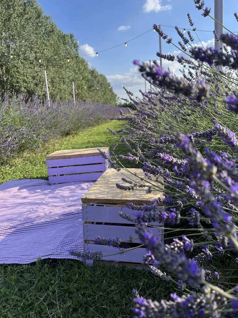 Agriturismo & Fattoria Didattica La Florida Bondeno restaurant in Bondeno