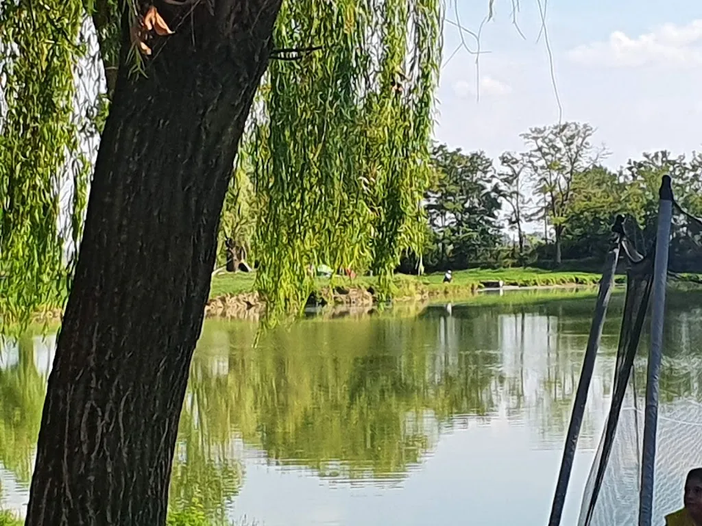 Davide Pradelli_Oasi La Rotta di Vezzane_Bondeno_review