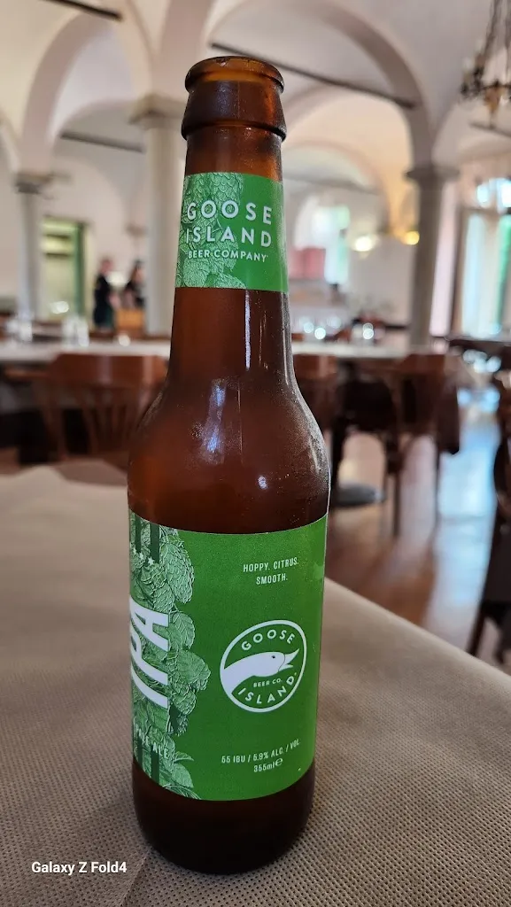 Menu_Ristorante Pizzeria Il Leone_Borgonovo Valtidone_image_1