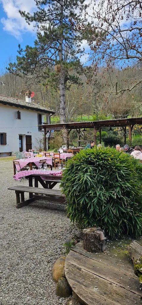 Andrea_Il ristorante dell'Agriturismo Rioverde_Borgonuovo_review