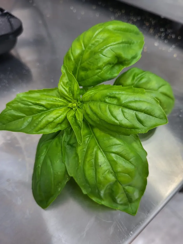 Menu_La pizzeria del borgo_Borgonuovo_image_7