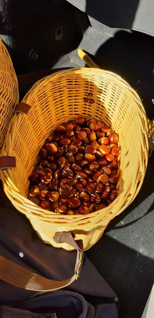 Menu_Chalet Del Molinatico_Borgo Val di Taro_image_4