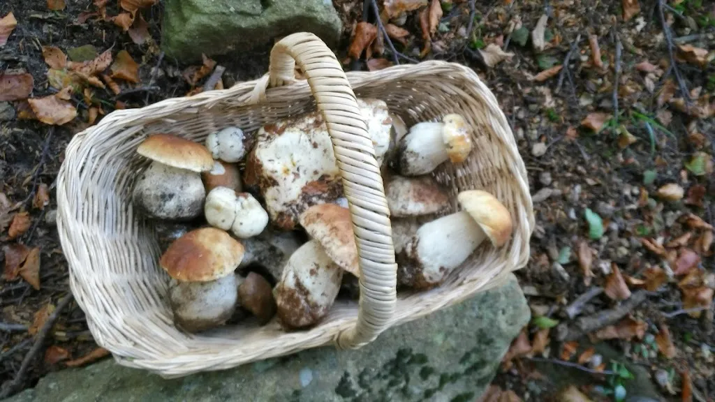 Menu_Chalet Del Molinatico_Borgo Val di Taro_image_9