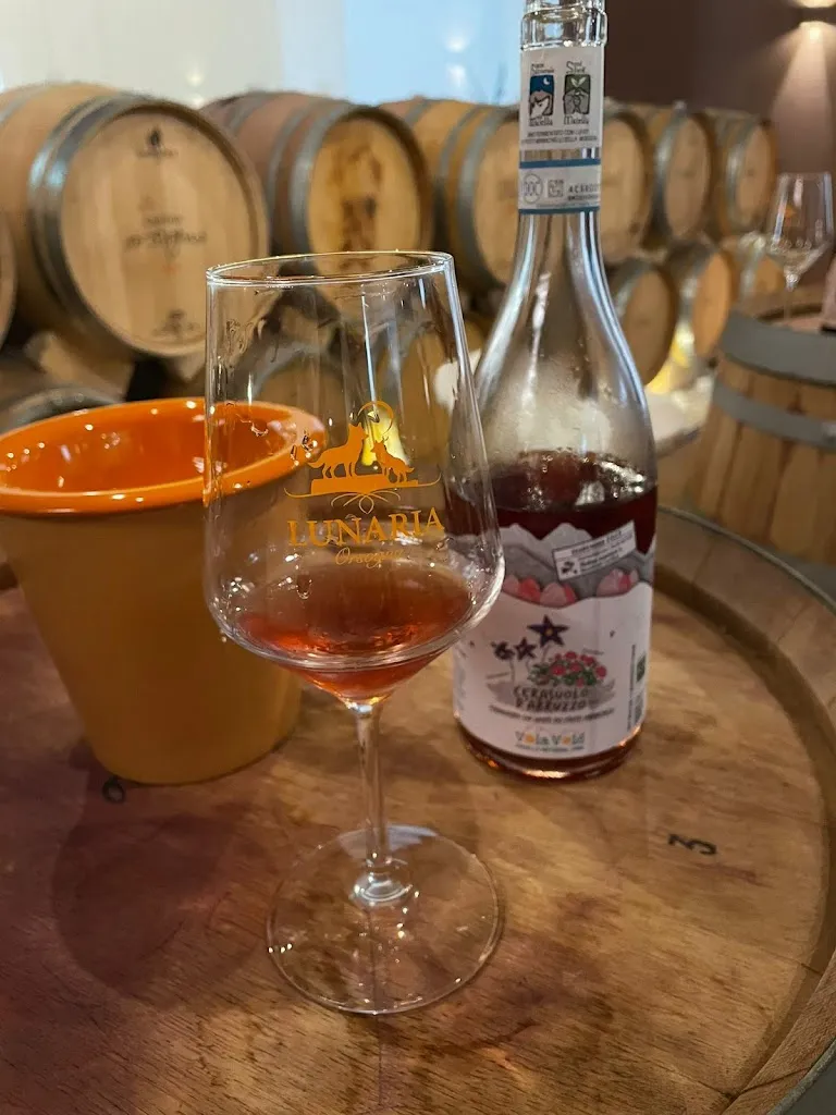 Menu_Cantina Orsogna_Orsogna_image_4