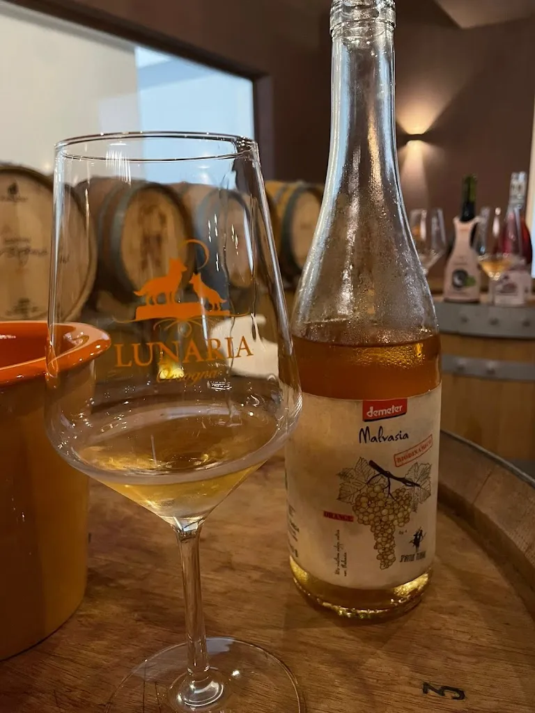 Menu_Cantina Orsogna_Orsogna_image_6