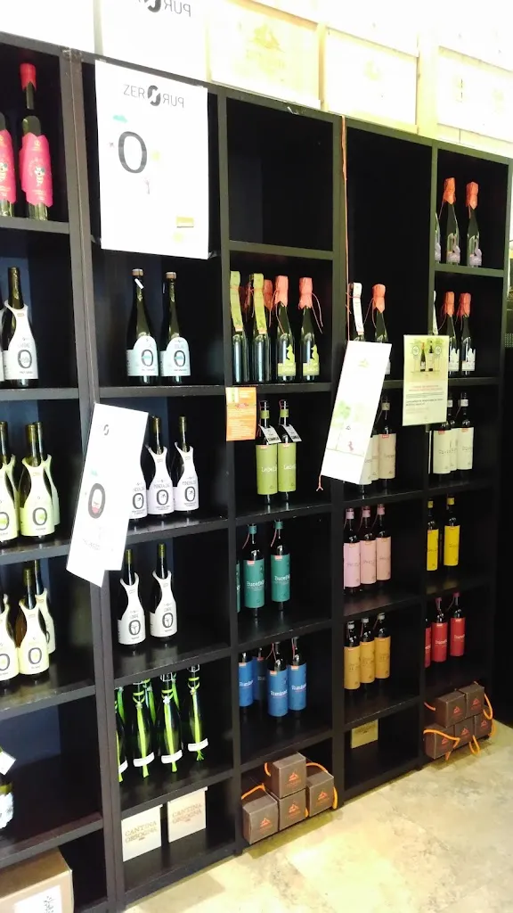 Marcin Kuciński_Cantina Orsogna_Orsogna_review