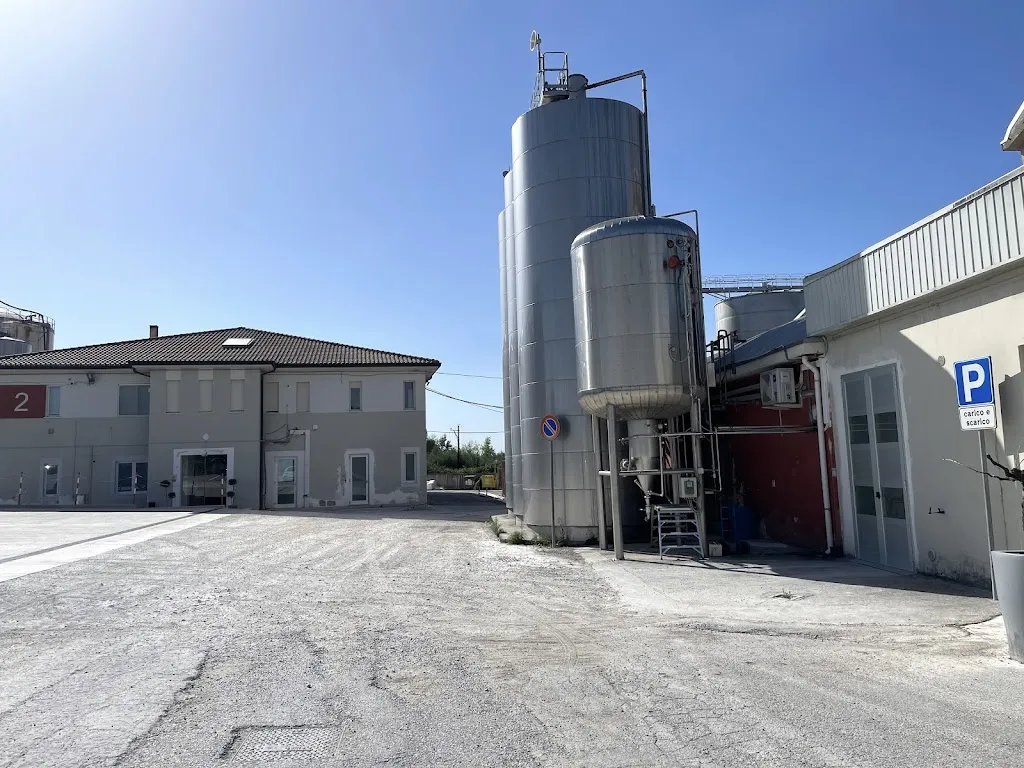 Ash Ilardi_Cantina Orsogna_Orsogna_review