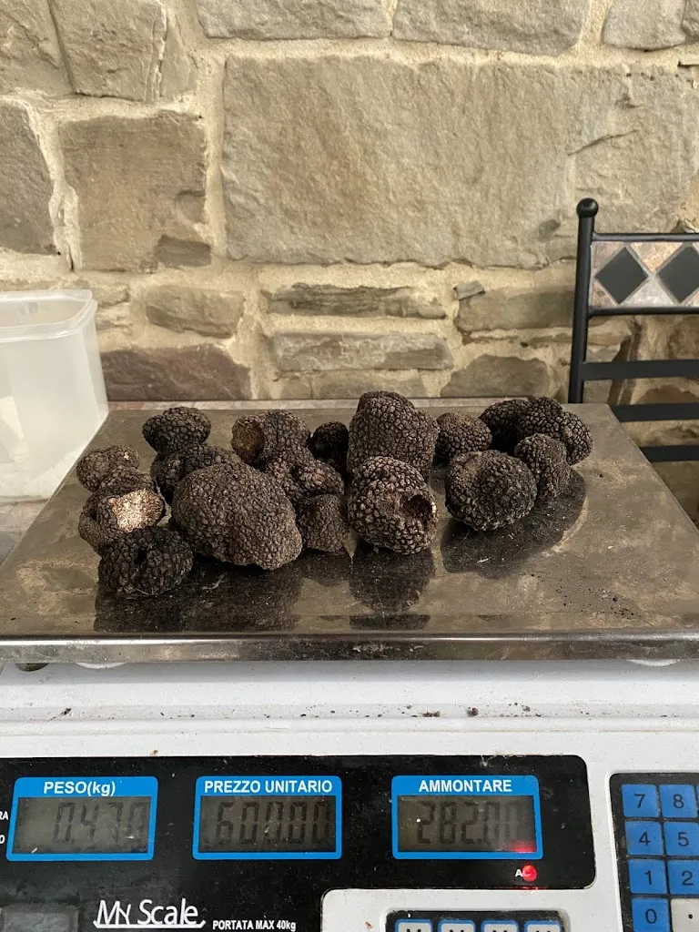 Alessandra Cadossi_Il Borgo del Tartufo - Home Restaurant_Borgo Val di Taro_review