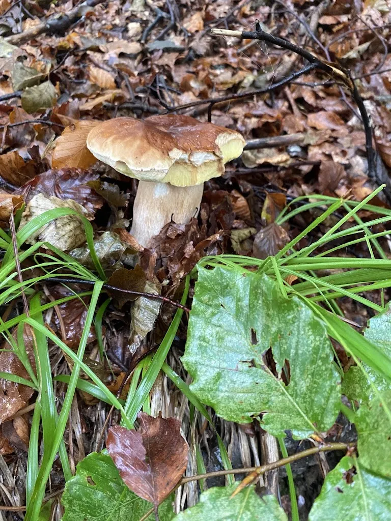 Menu_Q.B. bar_Borgo Val di Taro_image_4