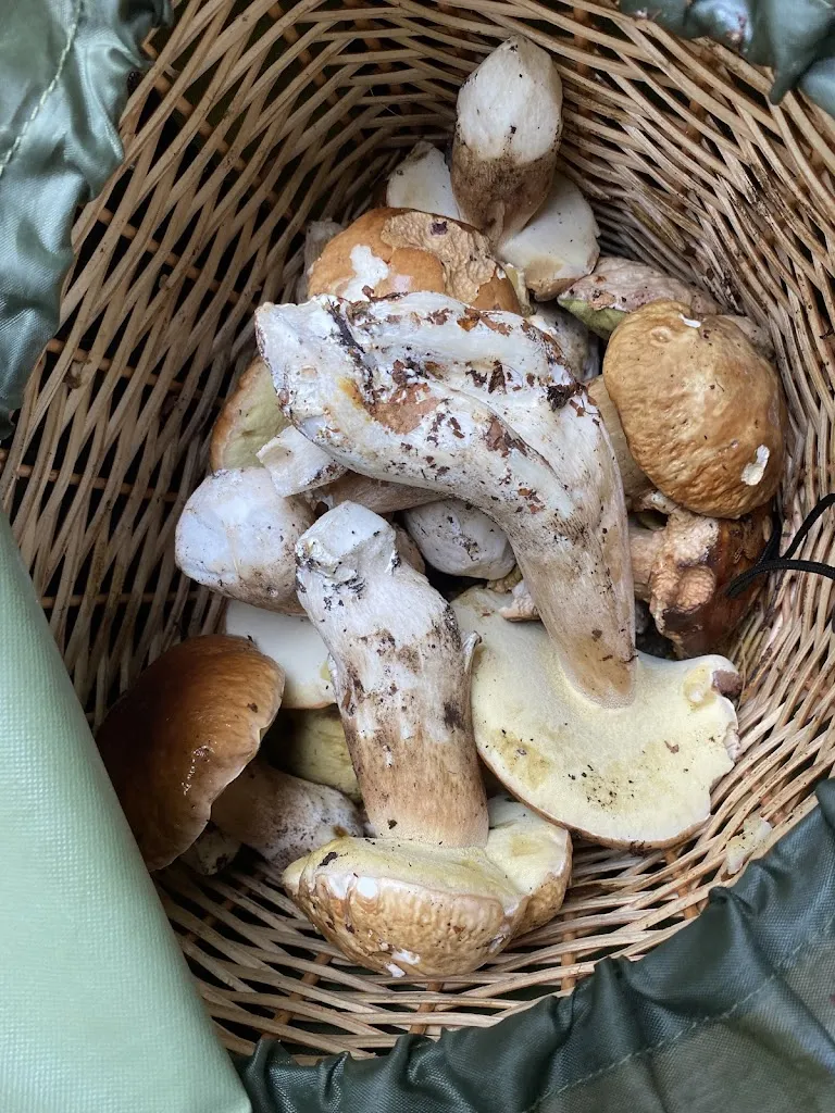 FM Colori e Vernici_Q.B. bar_Borgo Val di Taro_review