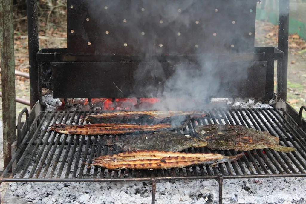 Il Giardino del Delta_Bosco Mesola_slider_image_3