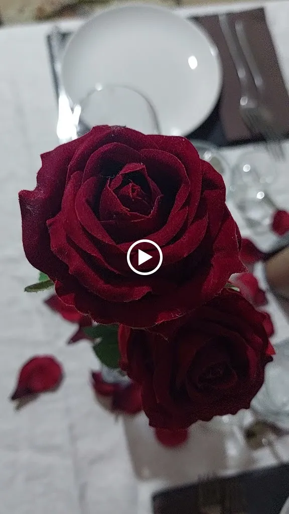 Ca' Nera Home Restaurant_Bubano_slider_image_2