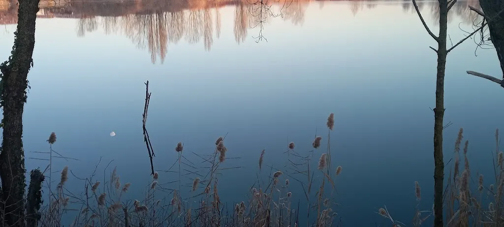 Franca_Oasi di Bubano_Bubano_review