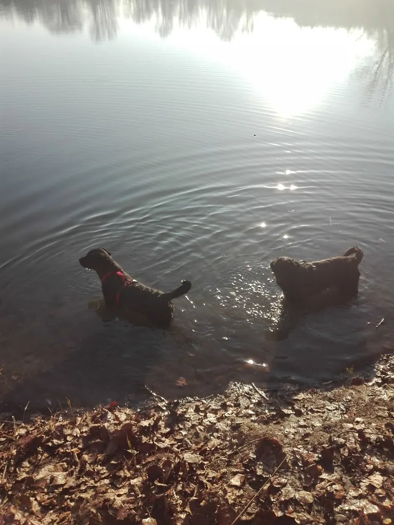 Michela Vicchi_Oasi di Bubano_Bubano_review