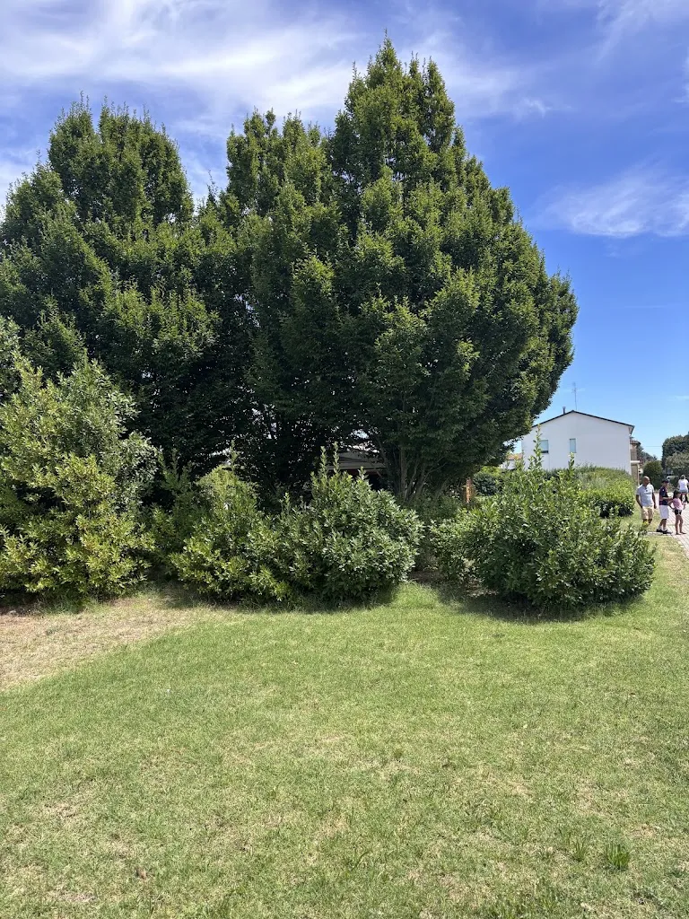 Vittorio S_Chiosco Controcorrente_Bubano_review