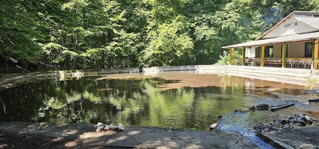 Pino Borraccio_Fonte Romana Bar Ristorante_Pacentro_review