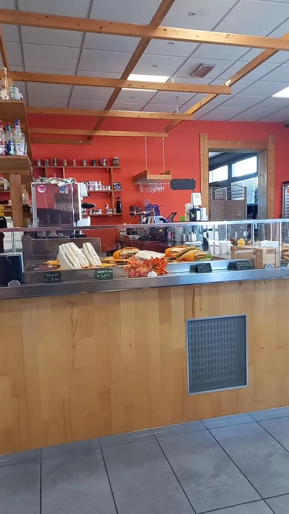 Eduard Braguzzi_La sosta del camionista_Cadè-Gaida_review