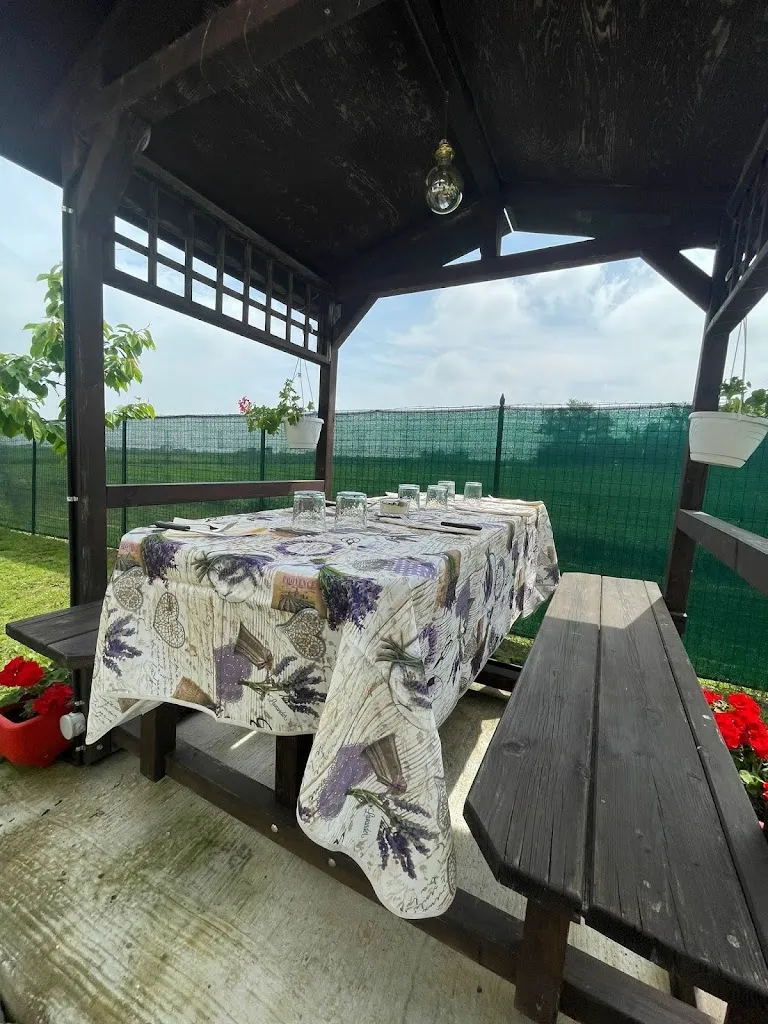 Il Cactus Fuori Home Restaurant_Budrio_slider_image_1