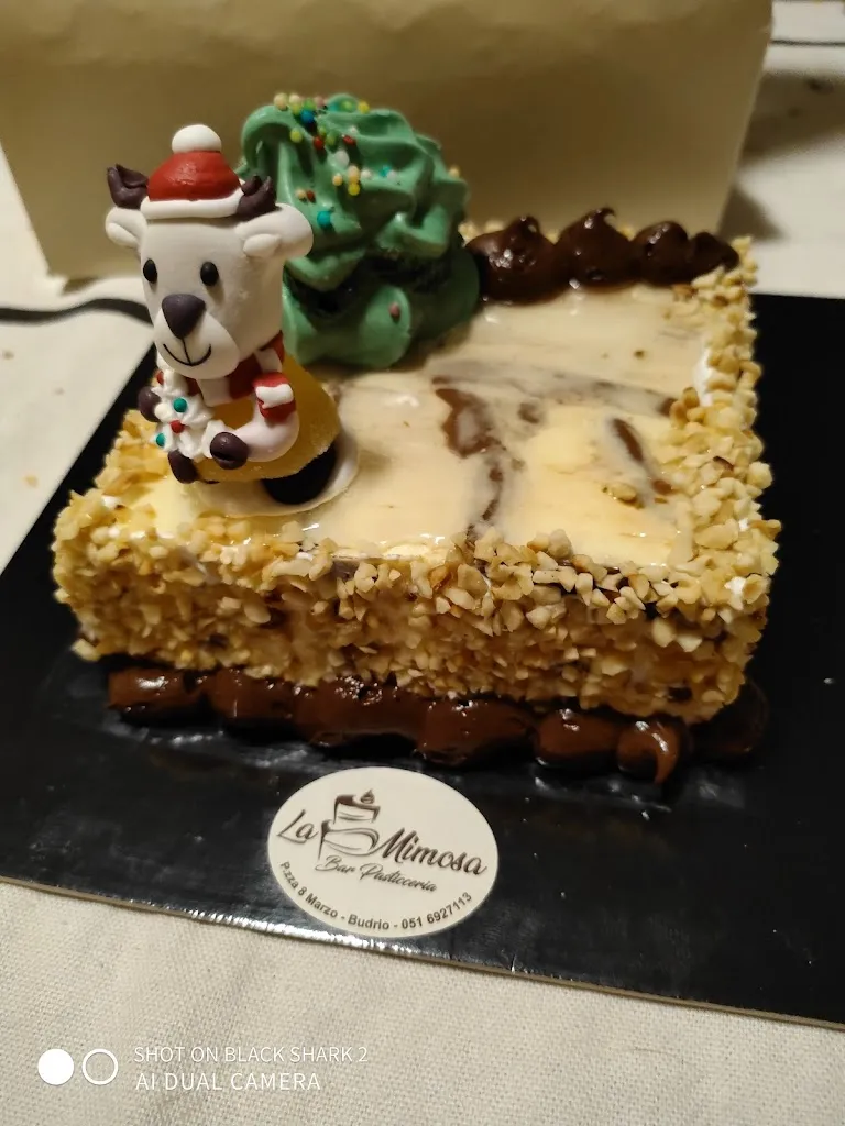 Menu_Bar Pasticceria La Mimosa_Budrio_immagine_7