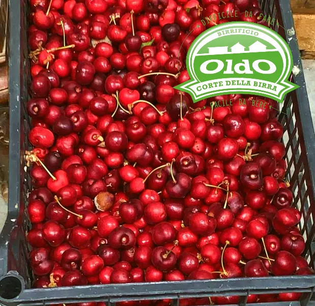 Menu_OLDO BIRRIFICIO - Produzione - Spaccio vendita diretta_Cadelbosco di Sopra_image_4