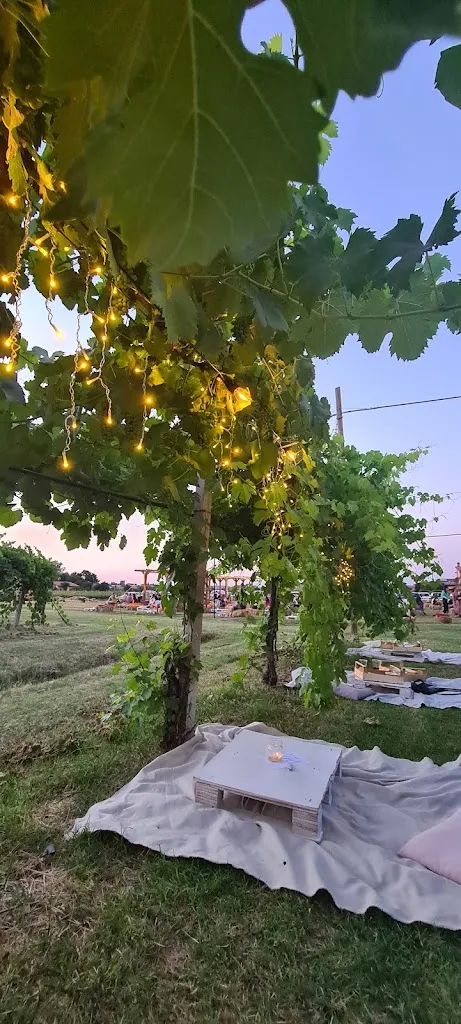 Shaghayegh V_La Rizzola Cucina e Cantina_Calderara di Reno_review